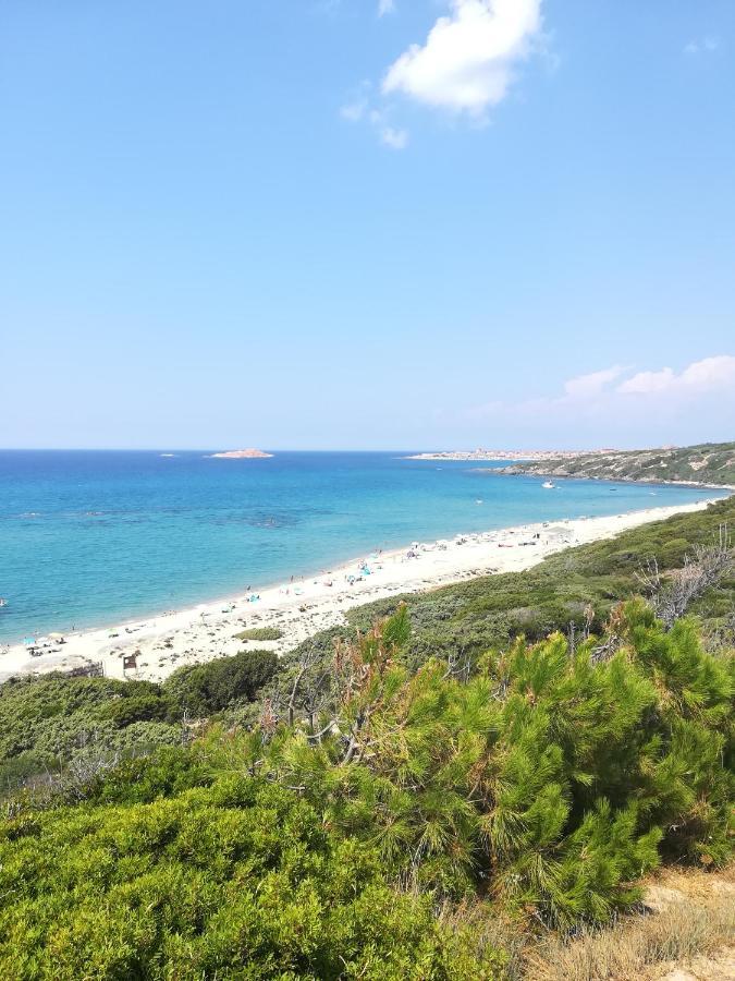 Sea Paradise Apartment Valledoria  Buitenkant foto